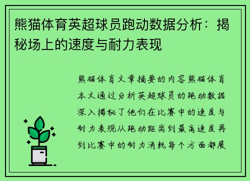 熊猫体育英超球员跑动数据分析：揭秘场上的速度与耐力表现