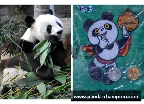 熊猫体育盘点意大利最美的5所大学! - 副本