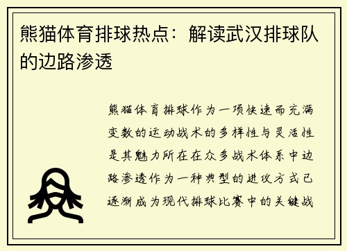 熊猫体育排球热点：解读武汉排球队的边路渗透