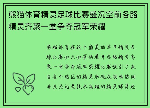 熊猫体育精灵足球比赛盛况空前各路精灵齐聚一堂争夺冠军荣耀