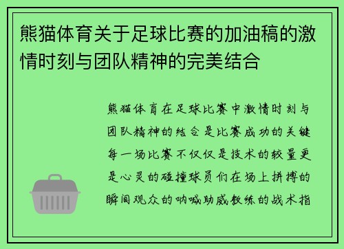 熊猫体育关于足球比赛的加油稿的激情时刻与团队精神的完美结合